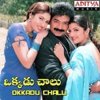 Okkadu Chalu naa songs