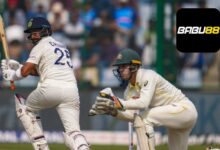 Mastering IPL Betting