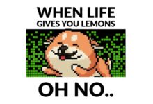 Memes