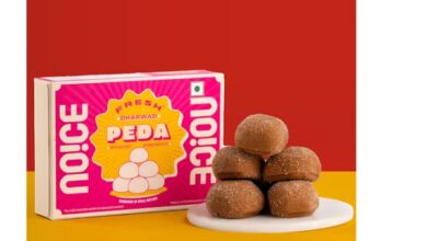 Homemade Indian Milk Sweets