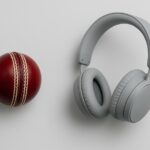 Music can transform any cricket match