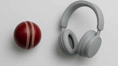 Music can transform any cricket match