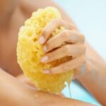 sea sponges for bathing