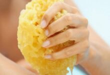 sea sponges for bathing
