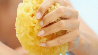 sea sponges for bathing