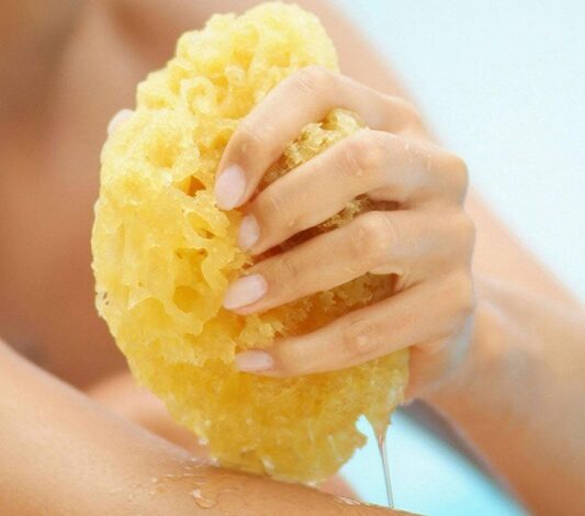 sea sponges for bathing