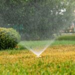 Irrigation Solutions for Modern Landscapes