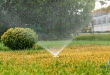 Irrigation Solutions for Modern Landscapes