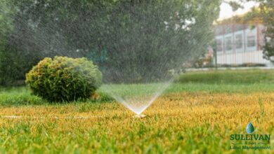 Irrigation Solutions for Modern Landscapes