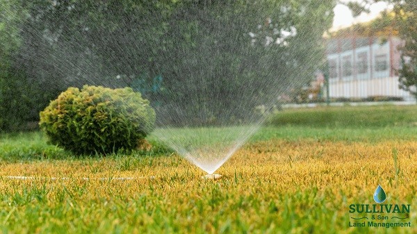 Irrigation Solutions for Modern Landscapes