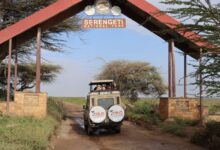 Tanzania Safari Package