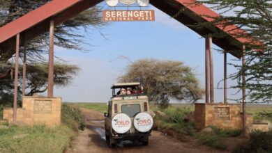 Tanzania Safari Package