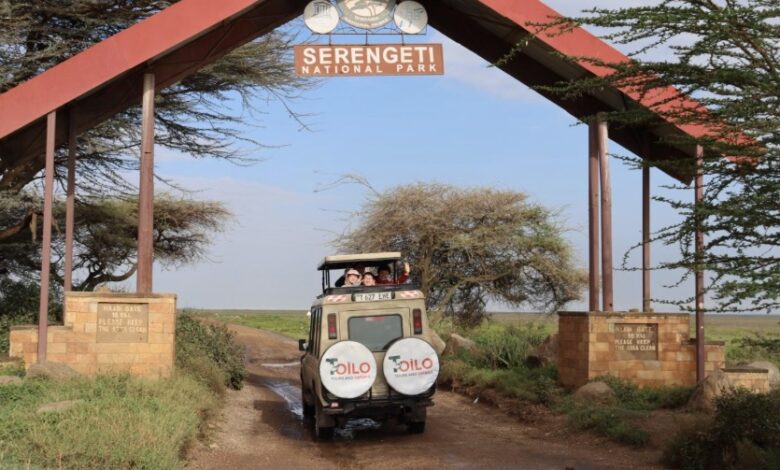 Tanzania Safari Package