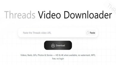 Video Downloaders