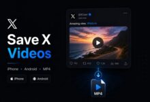 save videos to your camera roll